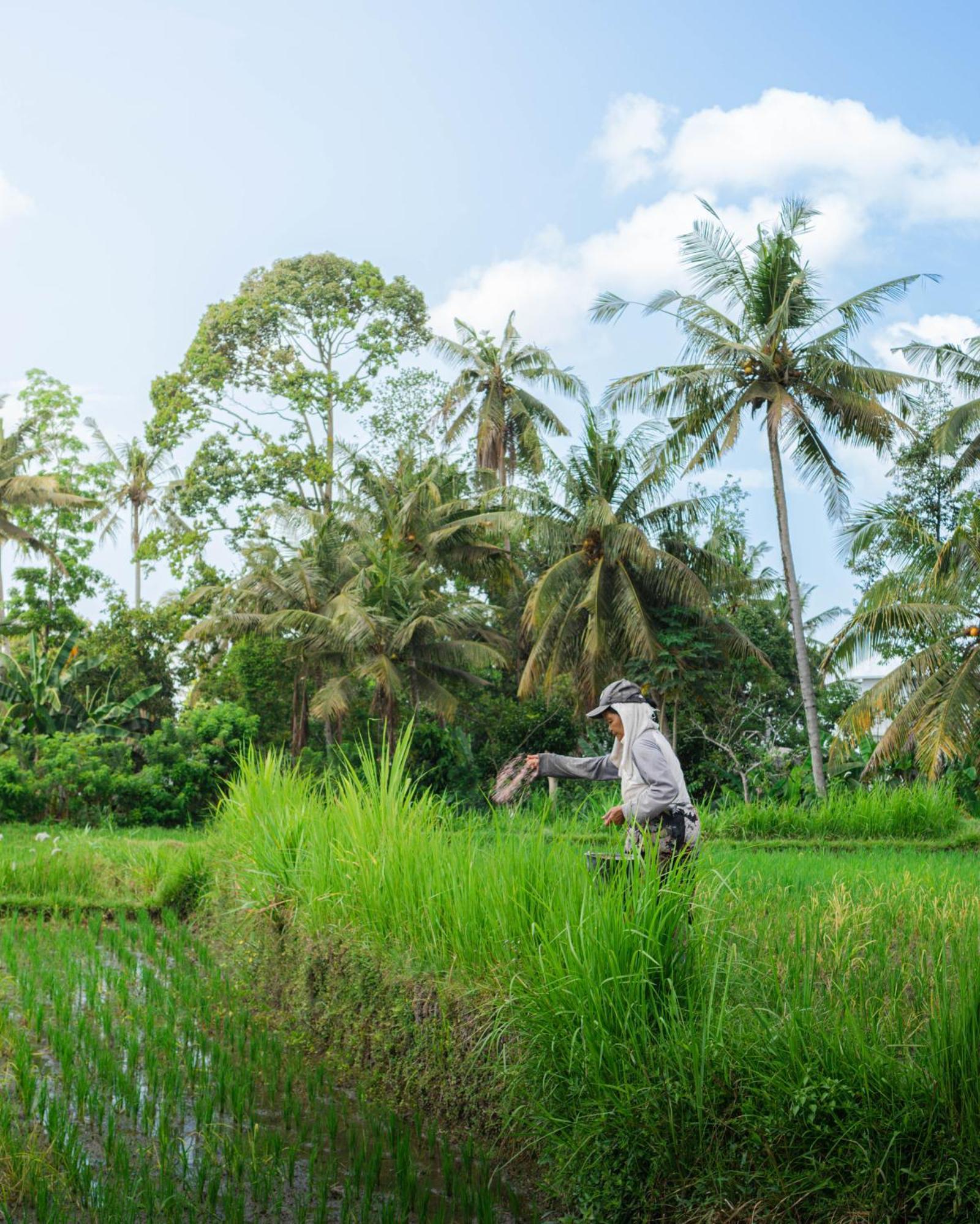 Tannari Villa Ubud エクステリア 写真